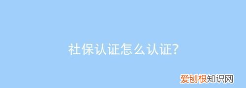 网上社保认证怎么操作，掌上12333社保指纹认证怎么操作