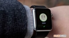 微信小信号要怎么样发，苹果手表带手腕上能发送微信小信号吗