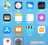 苹果的序列号代表什么，iphone序列号f开头的是什么版本