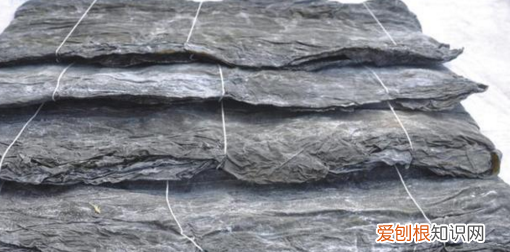 海带黏糊糊的是正常的,为什么海带的表面有层黏黏的东西呢