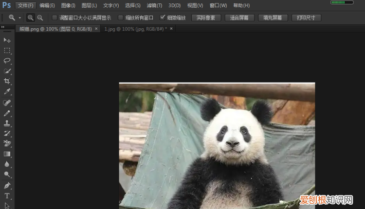 如何转换PNG为JPG