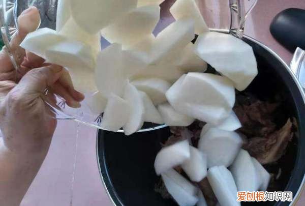 牛排炖汤的做法，怎样炖牛排汤好吃窍门