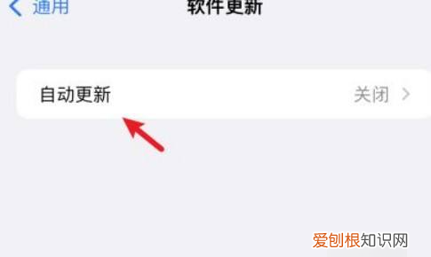 可以如何关闭苹果手机App自动更新