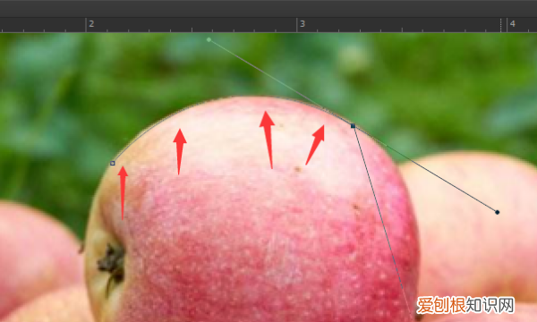 ps如何绘制弧线，ps钢笔工具怎么画弧线填充颜色
