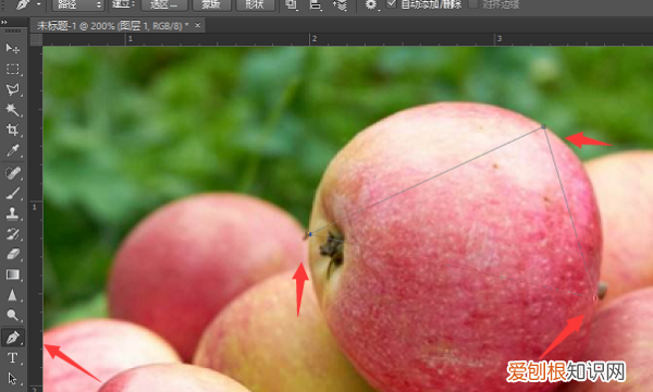 ps如何绘制弧线，ps钢笔工具怎么画弧线填充颜色