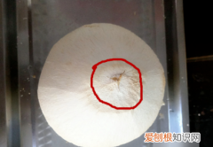 椰青怎么开，椰青怎么打开