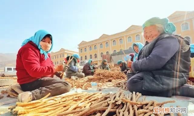 黄芪已放置5年还可食用，黄芪过期4年没霉变可以喝