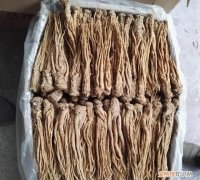 黄芪已放置5年还可食用，黄芪过期4年没霉变可以喝