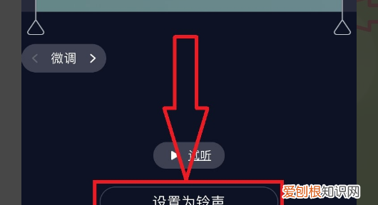 苹果13怎样设置铃声，手机彩铃怎么设置苹果手机