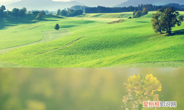 怎样把两张拼在一起，怎样把两张照片拼成一张图片