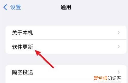 苹果手机App要如何关闭自动更新