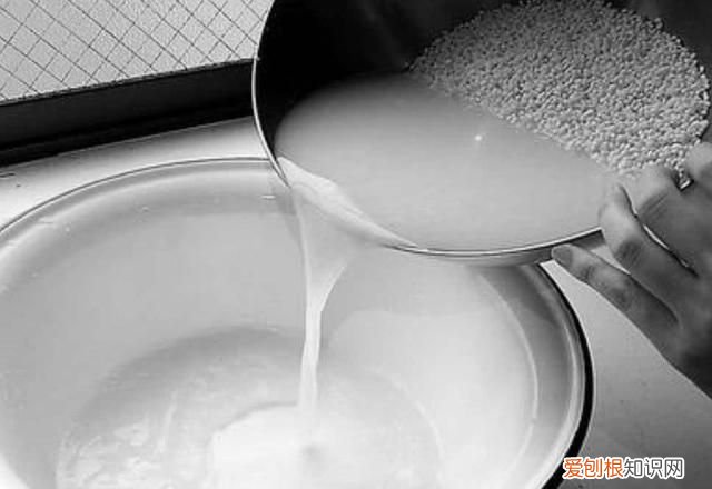 其实淘米水养花也不要随时用