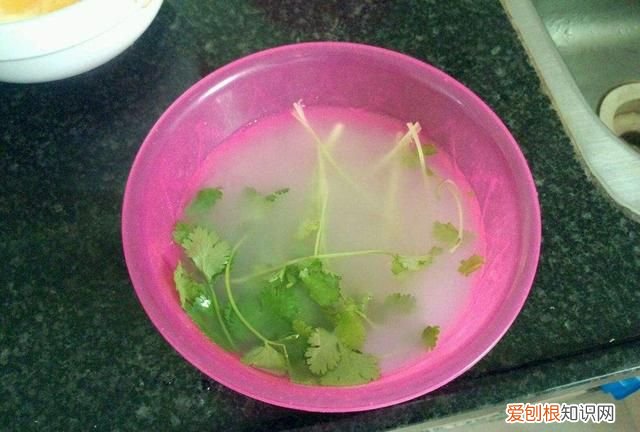 其实淘米水养花也不要随时用