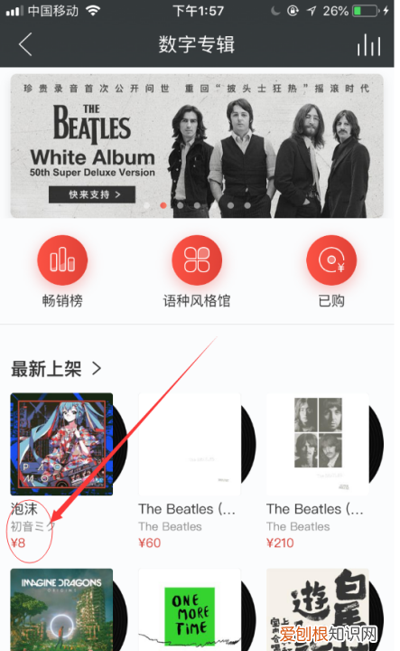 如何在网易云上买单曲,网易云音乐如何购买单首歌曲下载