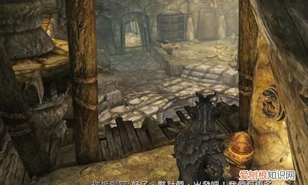 上古卷轴5架子湾葡萄，上古卷轴5怎么拖动物体