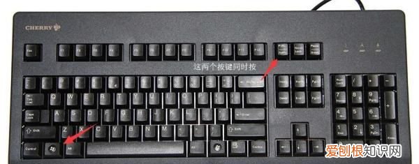 地平线4拍的照片在哪里,极限竞速地平线五手机版下载安装