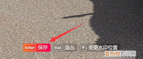 地平线4拍的照片在哪里,极限竞速地平线五手机版下载安装