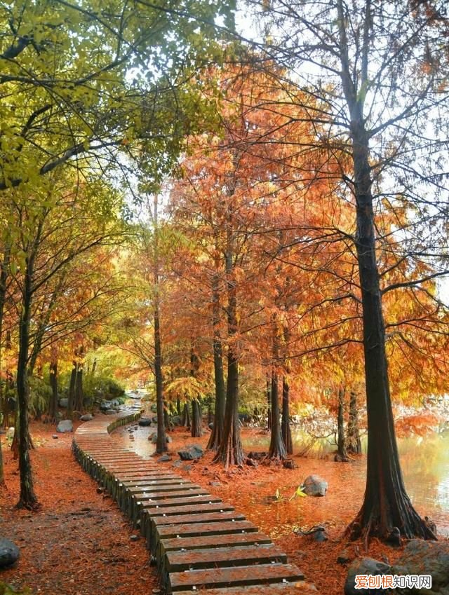 台州路桥附近旅游景点大全 台州路桥周边旅游景点大全