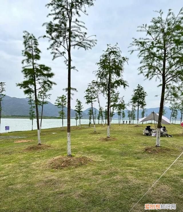 台州路桥附近旅游景点大全 台州路桥周边旅游景点大全