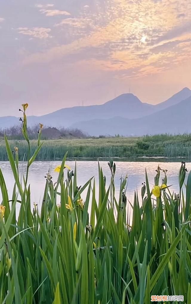 台州路桥附近旅游景点大全 台州路桥周边旅游景点大全