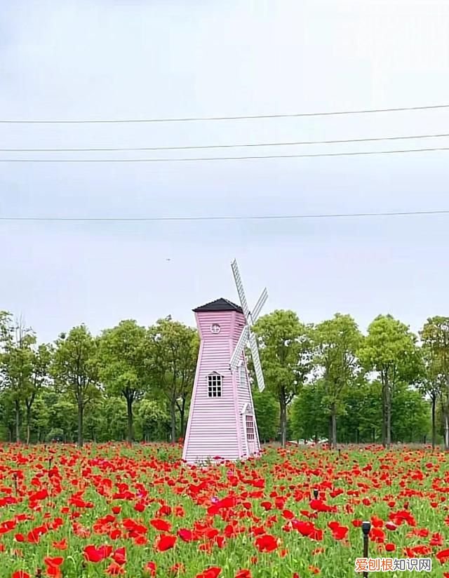 台州路桥附近旅游景点大全 台州路桥周边旅游景点大全