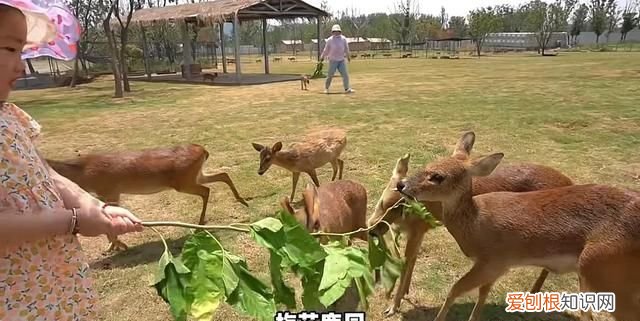 台州路桥附近旅游景点大全 台州路桥周边旅游景点大全