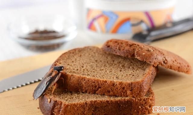 为什么南方的蟑螂又大又会飞,为什么南方的蟑螂又大又会飞呢