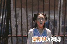 官宣的最高操作 类似官宣的词还有哪些