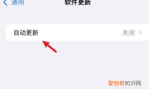 苹果怎样关闭App自动更新，苹果手机怎么关闭软件自动更新