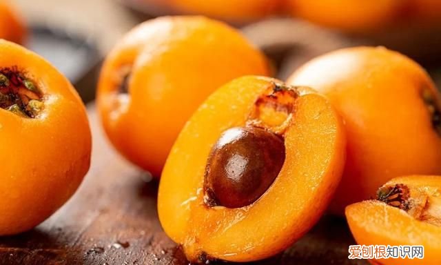 独备四时之气果子似球批绒毛,枇杷为什么叫四时之果