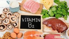 含b2维生素最多的食物有哪些