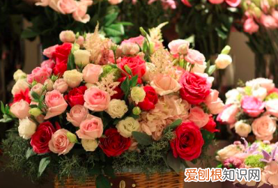 过年给家人准备什么礼物，回家过年给父母买什么礼物好