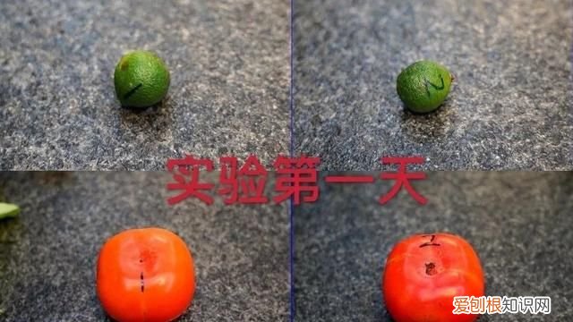 冰箱里的食物放多久就不能吃了