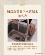 洗菜盆漏水怎么修理视频，洗菜盆下水管漏水怎么解决
