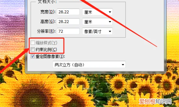 ps怎么才能调整大小,ps怎么改变大小不改变尺寸