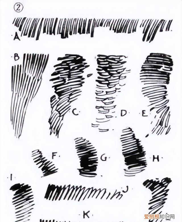 这些是画素描必学的排线方法和技巧英语