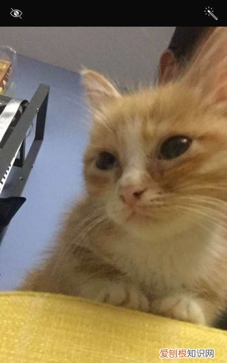 苹果手机怎么剪辑,iphone如何剪裁照片