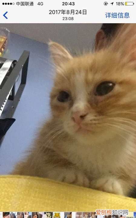 苹果手机怎么剪辑,iphone如何剪裁照片