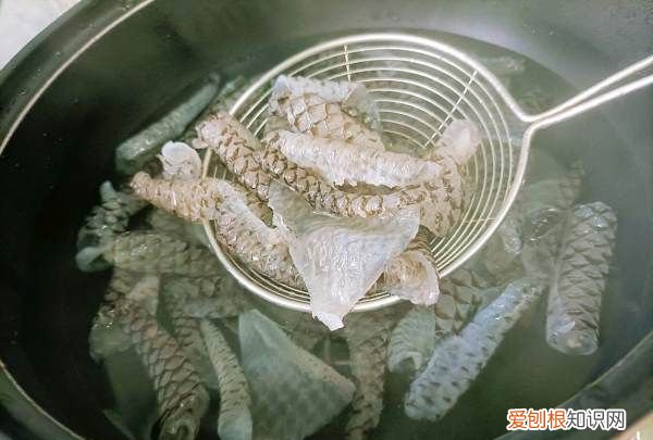 凉菜鱼皮的做法,凉拌鱼皮怎么做能变脆