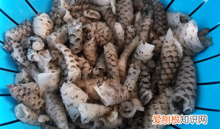 凉菜鱼皮的做法，凉拌鱼皮怎么做能变脆