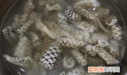 凉菜鱼皮的做法，凉拌鱼皮怎么做能变脆