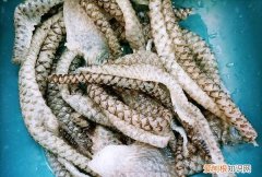 凉菜鱼皮的做法，凉拌鱼皮怎么做能变脆