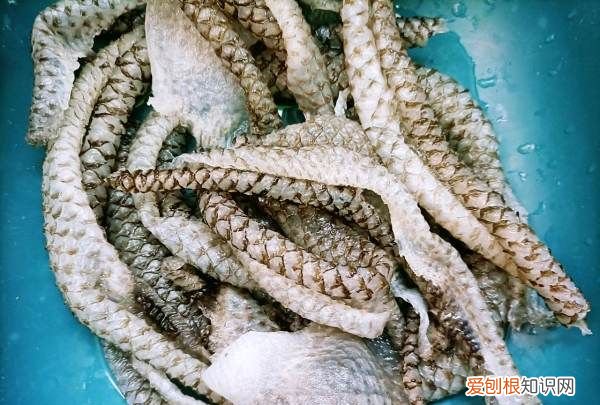 凉菜鱼皮的做法,凉拌鱼皮怎么做能变脆
