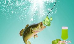 夏季钓鱼果酸和蚯蚓怎么搭配使用 夏季钓鱼用什么果酸效果好