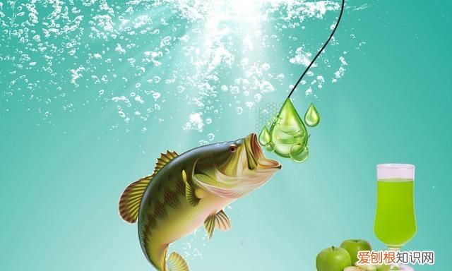 夏季钓鱼果酸和蚯蚓怎么搭配使用 夏季钓鱼用什么果酸效果好