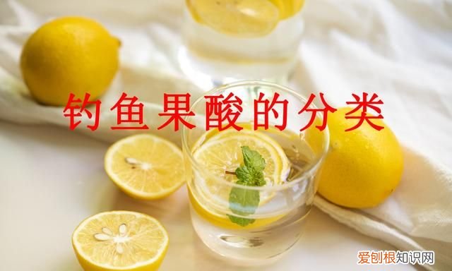 夏季钓鱼果酸和蚯蚓怎么搭配使用 夏季钓鱼用什么果酸效果好