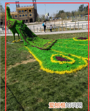 微信皮肤怎么设置，手机微信怎么设置皮肤主题