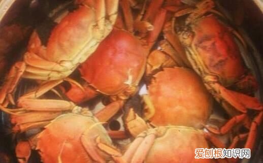 螃蟹一般要蒸多久才熟螃蟹有几种