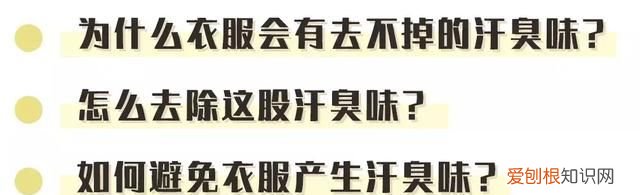 衣服汗臭味为什么洗都洗不掉,为什么有的衣服穿了汗臭味特别重