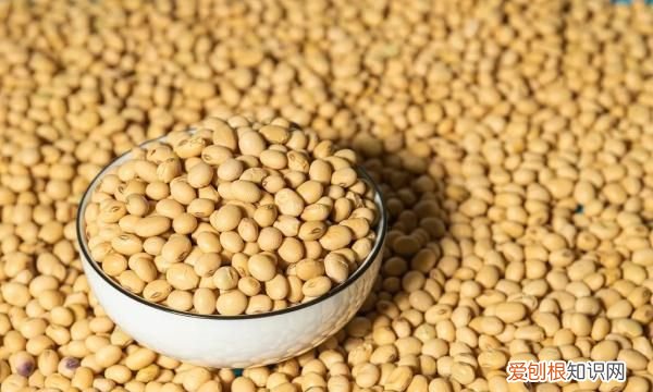 这6种食品没有保质期家家户户都有劝你别再傻傻丢掉了